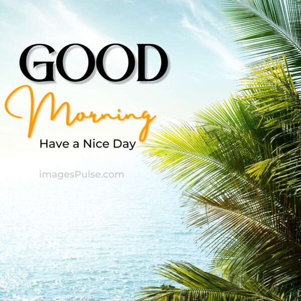 Download New Good Morning Images Wishes & Quotes 2022