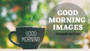Download New Good Morning Images Wishes & Quotes 2022