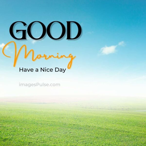 Download New Good Morning Images Wishes & Quotes 2022