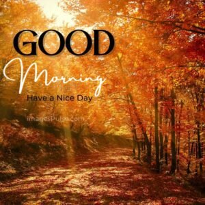 Download New Good Morning Images Wishes & Quotes 2022