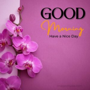 Download New Good Morning Images Wishes & Quotes 2022