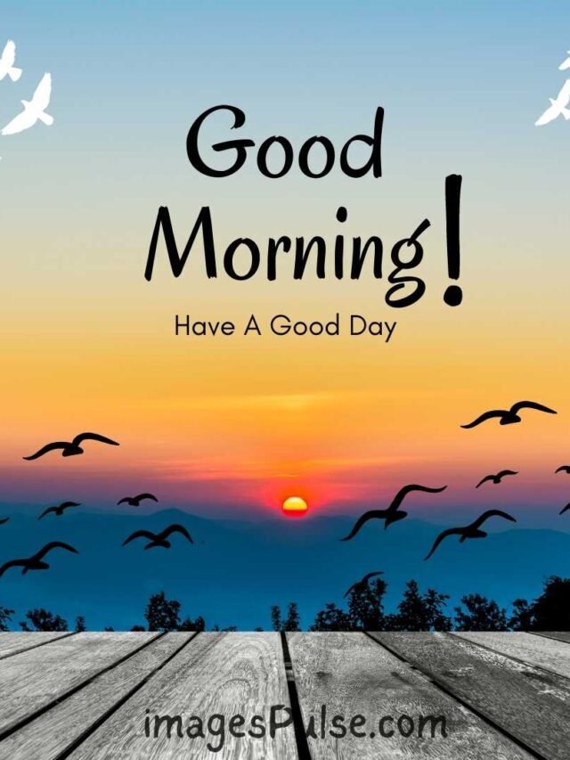Best Good Morning Images For WhatsApp Status