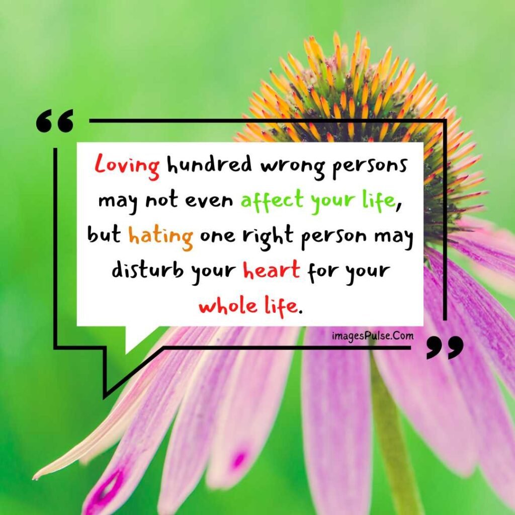 Loving hundred wrong persons may not even affect your life, but hating one right person may disturb your heart for your whole life.