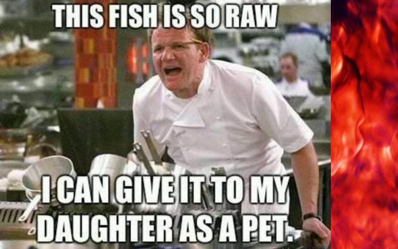 this fish is so raw meme gordon ramsey