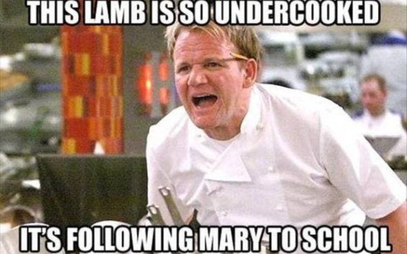 this lamb is so gordon ramsey meme