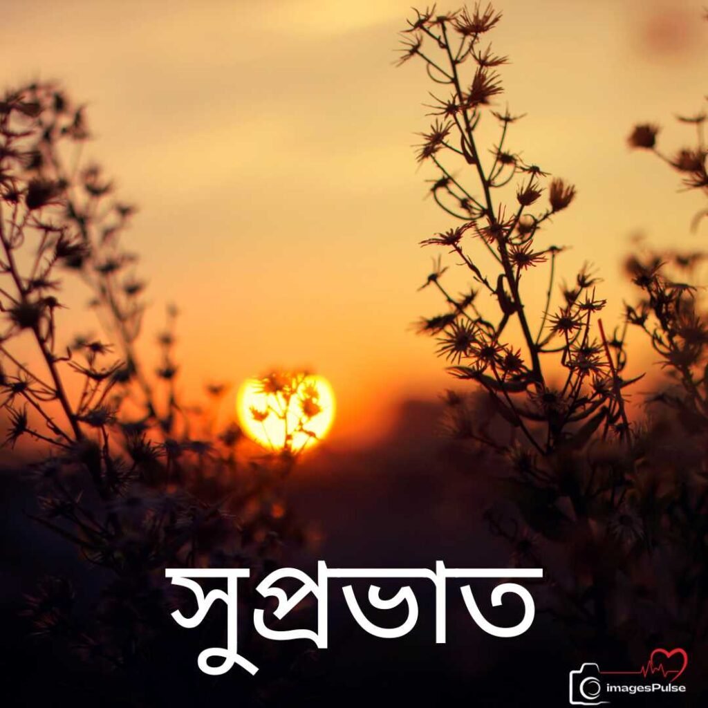 Good Morning Images in bangla