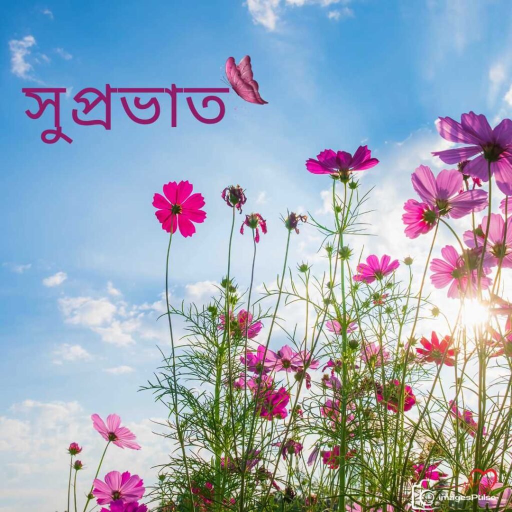 Good Morning Pics With Flower in Bengali