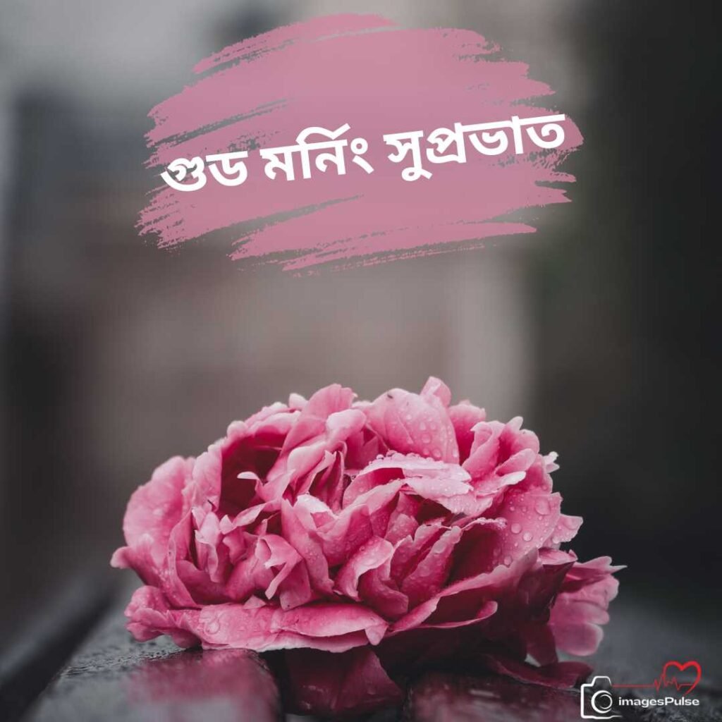 Good Morning Red Flower Images in bengali
