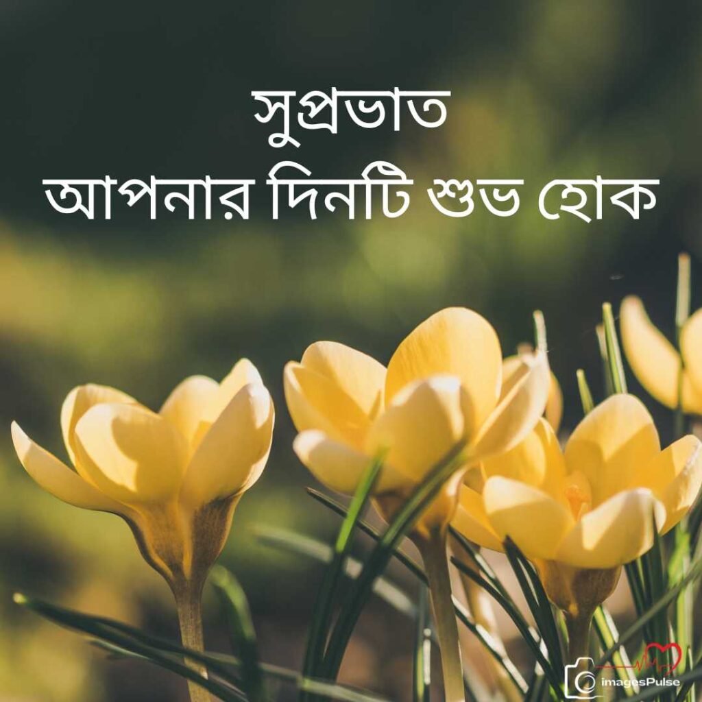 Good Morning have a nice day in bengali
