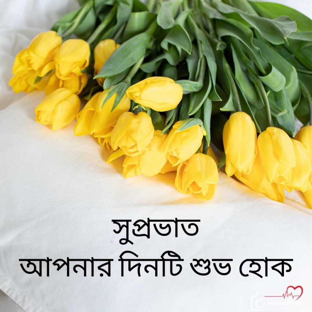 bengali language Good Morning