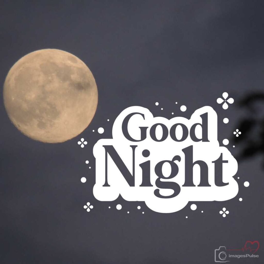 good night moon pictures